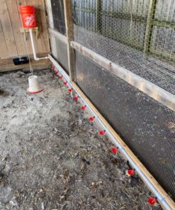 sansheng 24Pack Chicken Waterer Cups,Poultry Water Cups,Automatic Poultry Waterer for DIY Poultry Quail Duck Chicken Bird Drinker 24 50 81HvOG1mPmL