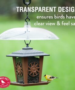 Perky-Pet 340 Transparent 16-Inch Squirrel Baffler 26 81HwlGAPBL