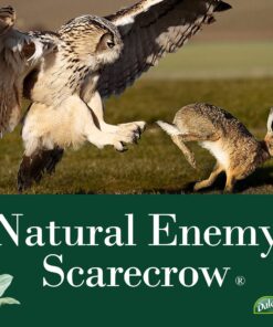 Dalen Fake Owl Decoy to Scare Birds Away from Gardens, Rooftops, and Patios - Scarecrow Provides Chemical-Free Pest Control - Safe and Humane, 16" Great Horned Owl 30 81Hzu6COb8L