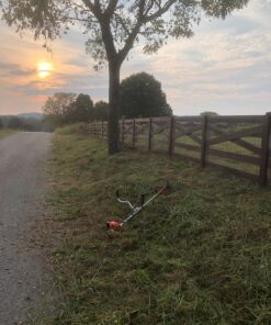 Pool Supply Town 12" x 3T 12-Inch 3 Teeth Heave Duty Steel Brush Cutter Trimmer Weed Eater Blade 31 81I 4Pb IoL