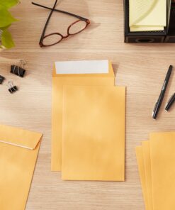 Amazon Basics Catalog Mailing Envelopes, Peel & Seal, 6x9 Inch, Brown Kraft, 100-Pack 6 x 9 36 81I39hCMXL