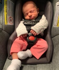 Evenflo Pivot Xpand Modular Travel System with SafeMax Infant Car Seat Percheron Gray 45 81I3sRIJ3CL