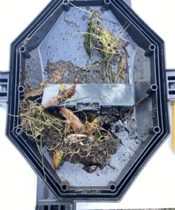 Intex Recreation Corp 28001E Intex Auto Pool Cleaner, 1 Pack, Grey Above Ground 34 81I431RP9NL