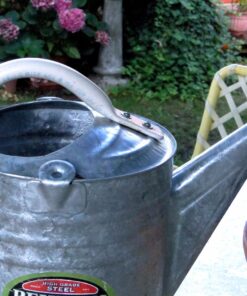 Behrens 2-1/2-Gallon 210 Steel Watering Can, Silver 29 81I5uiK0MlL
