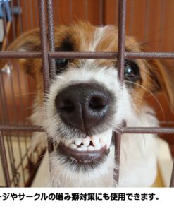 Grannick's Bitter Apple for Dogs Spray Bottle, 16 Ounces, Golds & Yellows (1116AT) 16 Ounces (Pack of 1) 31 81I6ulyUWPL