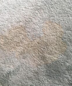 BISSELL Oxy Stain Destroyer Pet, 1784 (Packaging May Vary) 15 81I89r2XflL