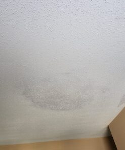 Zinnser 03688 Covers Up Stain Sealing Ceiling Paint, White 13 Ounce (Pack of 1) Spray Can 59 81IBPGj9mL