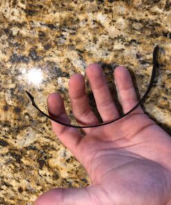 VELCRO Brand ONE-WRAP Cable Ties | 25Pk | 8 x 1/2" Black Cord Organization Straps | Thin Pre-Cut Design | Wire Management for Organizing Home, Office and Data Centers 47 81ICObt37JL