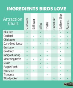 Pennington Pride Wild Finch Blend Wild Bird Seed , 10 lb 11 81IH6FFerqL