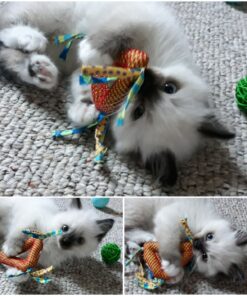 Petstages Dental Health Chews Pair Dental Chew 37 81IHI5ytAtL