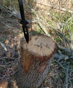 REAPR 11003 Survival Spear, Stainless Steel Hunting Spear, Tactical Throwing Spear, Nylon-Fiberglass Tactical Spear Handle, Decisive Hunting Gear 51 81II7oCcpsL