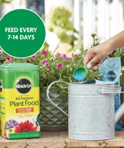 Miracle-Gro Water Soluble All Purpose Plant Food 5 lb. 1 Pack 41 81IIOetSf1L