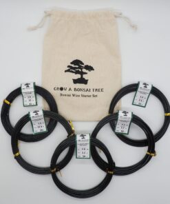 Anodized Aluminum Bonsai Training Wire 5-Size Starter Set with Canvas Bag - 1.0mm, 1.5mm, 2.0mm, 2.5mm, 3.0mm (147 feet total) - Choose Your Color (5 Sizes, Black) 5 Sizes 19 81IIPz1P3 L