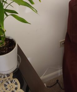 Blumat Bottle Adapter (3 Pack): Self Watering Spikes/Houseplant Watering Stakes, Automatic Irrigation System, Use When On Vacation,Terracotta Spikes to use with Recycled Plastic Water Bottles (3 Pack) 26 81ILQO268mL