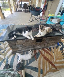 FRONTLINE Plus Flea and Tick Treatment for Cats Over 1.5 lbs., 3 Treatments 3 Doses 40 81ILWT3ezGL