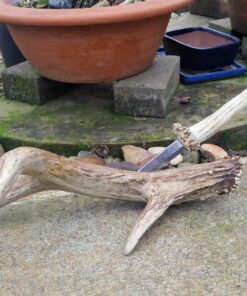 Micro-Mesh 2" Assortment Pack - 18 Pieces 24 81ILeGb9GnL