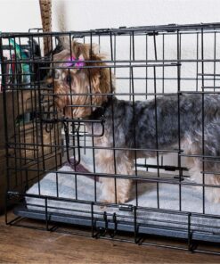 Dog Crates for Small Dogs - Dog Crate 20" Pet Cage Single-Door Best for Puppy & Kitten Pets - Wire Metal Kennel Cages with Tray - in-Door Foldable & Portable for Animal Out-Door Travel 20.0"L x 13.0"W x 16.0"H 28 81IN PBwfRL 1