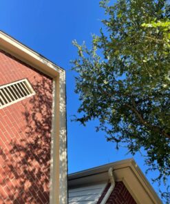 Fiskars 7.9'-12' Extendable Tree Pruning Stik Pruner - Rotating Sharp Precision-Ground Steel Blade for Cutting up to 1.25" Diameter Pruning Stick Extenable 7.9'-12' 49 81IOFWHpHeL