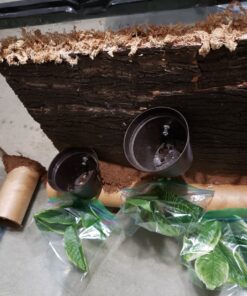 Great Stuff 283064 12OZ GS Pond&Stone Foam Sealant, Each, Black Pond & Stone 37 81IRGUeSXAL