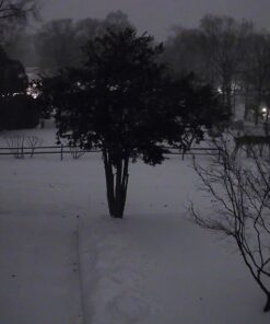 FOSCAM Outdoor Security Camera,G4 Full HD 4MP 2K WiFi Security Camera, Alexa Compatible, AI & Motion Detection, Free Cloud Service Included, 65ft Night Vision IP66 Weatherproof,Black 4MP Black 37 81IYfBeCORL