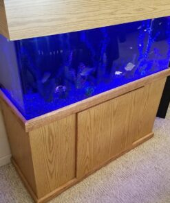 VIVOSUN T5 Grow Light Bulbs 54W 6500K HO Fluorescent Tubes Light Bulbs, Cool White T5 Bulb for 46 Inches T5 Light Fixtures, T5 Grow Lights for Indoor Plants, Pack of 5 54.0 Watts 27 81IZBE57rL