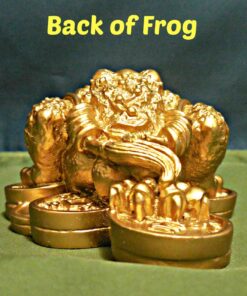1 X Feng Shui Money Frog/Money Toad Attract Wealth 20 81IZtUKST6L