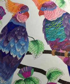 Copic Marker I36B Ciao Markers Set B, 36-Piece Art marker, alcohol-based marker, permanent marker 56 81IcCFtfIgL