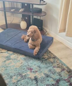 VETRISCIENCE Perio Support Teeth Cleaning Dental Powder for Dogs and Cats, Up to 192 Servings – Clinically Proven to Reduce Plaque and Tartar Perio Powder 25 81IcI7rubvL