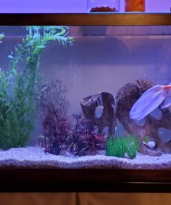 AQUAPAPA 6 lbs Bulk Carbon Charcoal Filter Media Pellets for Aquarium Fish Tanks 13 81IdV0ARL2L