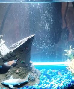 Tetra Crescent aquarium Kit 5 Gallons, Curved-Front Tank With LEDs,black 5-Gallon 28 81IfGaR8eqL