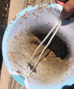 IMPRESA 10-Pack of Pool Skimmer Socks - Excellent Savers for Filters, Baskets, and Skimmers - The Ideal Sock/Net/Saver to Protect Your Inground or Above Ground Pool 43 81IgfA9yqbL