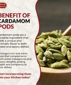 Spicy World Green Cardamom Pods 3.5 Oz - As Seen on Tik Tok - Premium Quality Whole Green Cardamom Pods | Vegan | Large | Aromatic Cardamon 3.5 Ounce (Pack of 1) 25 81ImSK0KTqL
