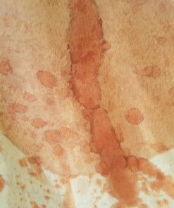 Maven Gifts I Can't Believe It's Not Blood - Fake Blood - 16 oz 34 81Intoa0DjL