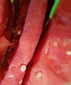 BCI Watermelon Slicer Corer Cutter Knife Tongs with Silicon Handle and Two Headed Melon Baller Set 56 81Ion6YA8zL