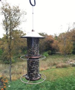 Perky-Pet 325C 2-Tier Copper Panorama Bird Feeder 2 Tier 17 81Ipn8rOGaL