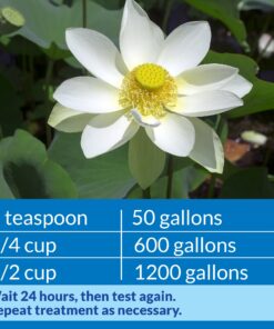 API POND pH DOWN Pond Water pH Reducing Solution 16-Ounce Bottle, White, Model:170B 11 81IuFbyGmcL