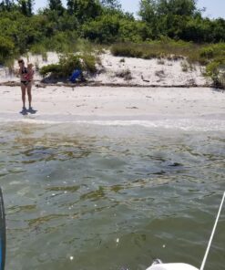 Alternative view of Shoreline Marine #7 Slip Ring Anchor Kit Frustration-Free Packaging