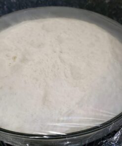 Saf Instant Yeast, 1 Pound Pouch 1 Pound (Pack of 1) 79 81IvE962BhL