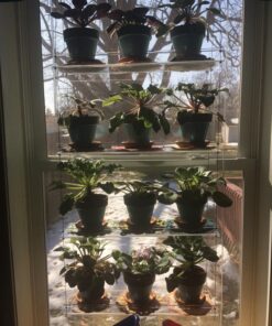 Beautiful Views Hanging Window Plant Shelves (4 Shelves) 4 Shelves 20"x6"x54" 52 81IvEQQKq8L