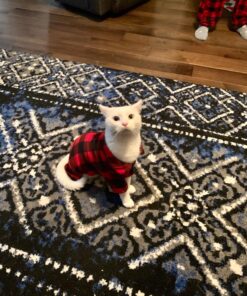 JONNY CAT Cat Litter Box Liners 5 / Box (Pack of 6) 15 81Iy2PjhaDL