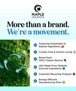 Volumizing Biotin Shampoo and Conditioner Set - Sulfate Free Shampoo and Conditioner for Dry Damaged Hair Care - Thinning Hair Shampoo and Conditioner with Nourishing Biotin and Rosemary Oil (8oz) 8.00 Fl Oz (Pack of 2) 25 81Iz9cK3clL