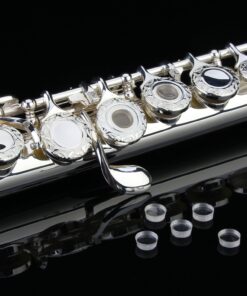 Glory HAND-ENGRAVED SILVER PLATED HIGH GRADE FLUTE 17 Hole OPEN/CLOSED C Flute With Case, Tuning Rod and Cloth and Gloves,HIGH GRADE HAND ENGRAVED 17 Open Hole Flower 18 81J 875xe9L