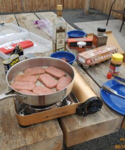 Gas ONE GS-4000P - Camp Stove - Premium Propane or Butane Stove with Convenient Carrying Case - Patent Pending - Great for Camp Stove and Portable Butane Stove for All Cooking Application 49 81J0k9c6yoL