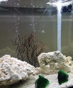 SciencePurchase 10.5" Black Fish Tank Aquarium Decoration, Sea Coral Ornament (Black, Sea Fan 10.5") 16 81J2c3E051L