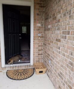 Oval No Soliciting Sign (Brushed Silver) Small 2" X 5" - Small Brushed Silver 24 81J34Vpr RL