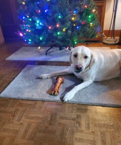 Seresto Large Dog Vet-Recommended Flea & Tick Treatment & Prevention Collar for Dogs Over 18 lbs. | 8 Months Protection 1 Pack Large Dog Only 43 81J4ZieIB0L