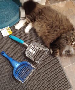 DuraScoop® Premium Multicat Cat Litter Scoop | Solid Metal | Litter Box Tray Pan Sifter Random Color 72 81J7LLEFFNL