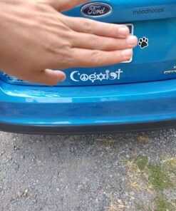 共存デカールステッカービニールバンパー – Christian Muslim Buddhist after life Star Dancing Peaceプライド 13 81J8ZbplQkL