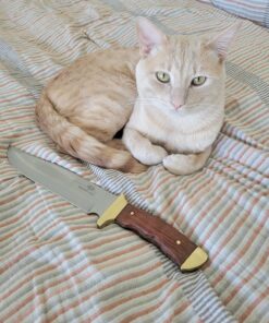 Mossy Oak 14-inch Bowie Knife, Full-tang Fixed Blade, Wood Handle Hunting Knife with Leather Sheath for Camping, Hiking, Survival 63 81J8a65P7 L