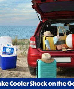 Cooler Shock Ice Packs for Cooler, Strong, Reusable, Premium Ice Pack and Lunch Cooler Set for Long Term Use, Cools Faster Than Ice, 3 Pack 32 81J9e3e5GVL